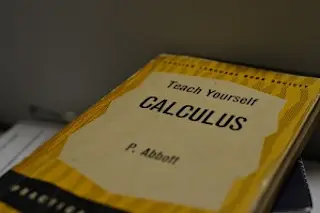 calculus-300x199.jpg