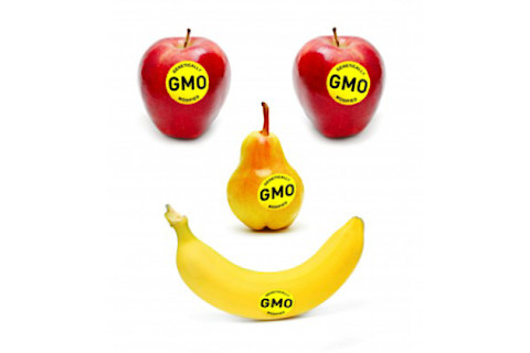 smileycropGMO-268x300.png