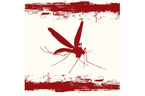 mosquito_danger-300x300.jpg