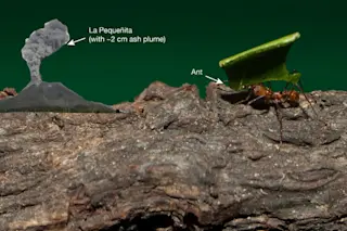 VOlcano_tiny_ann.jpg