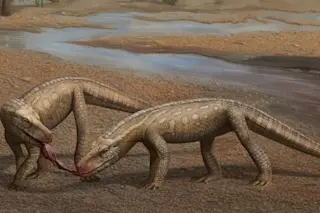 Parvosuchus aurelioi 