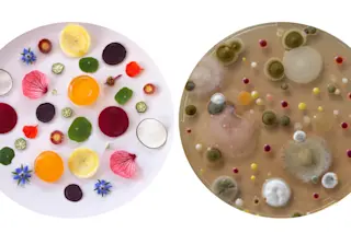 2-circles.jpg