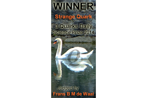3QDscience_strange_quark.jpg