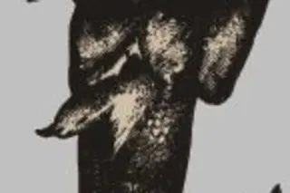 Feejee_mermaid.jpg