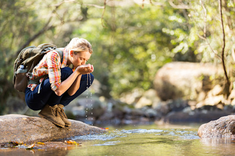 shutterstock_204546046.jpg