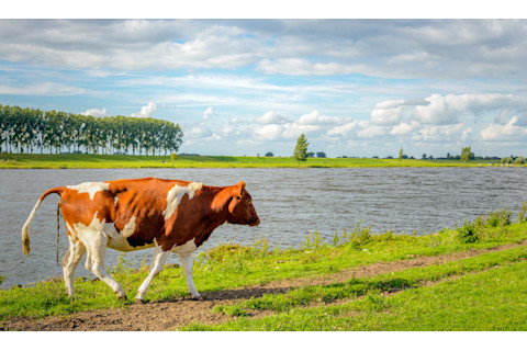shutterstock_468292628.jpg