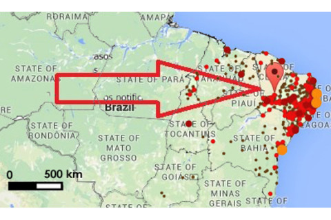 zika-virus-overlay-copy.jpg