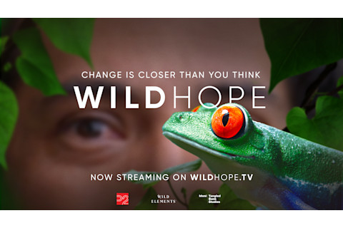 Promotional graphic for the Wild Hope documentary series (credit: