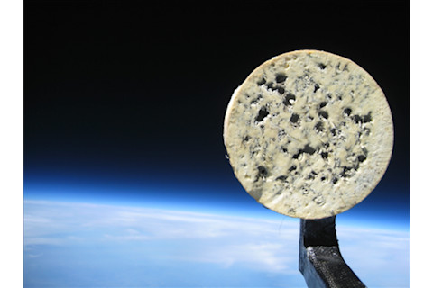 Moon Cheese - WCAX