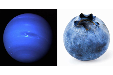 Neptune vs Blueberry - NASA; USDA