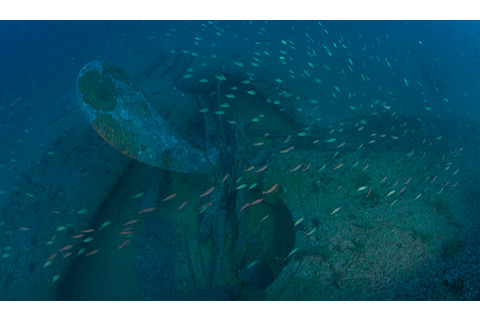 Propeller and stern section of Manuela