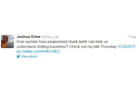 Drew_tweet.jpg