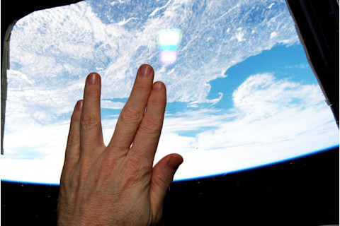 terry-llap-1024x685.jpg