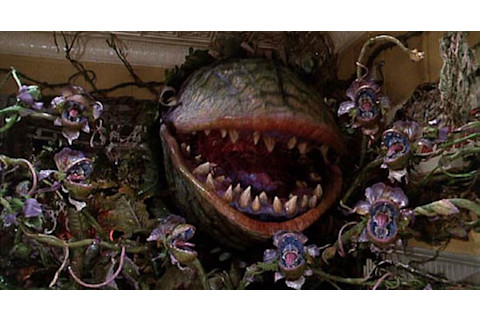 Little_shop_of_horrors.jpg