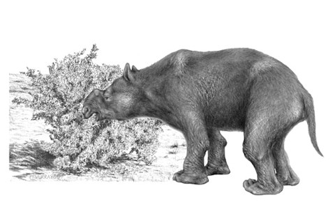 Diprotodon.jpg