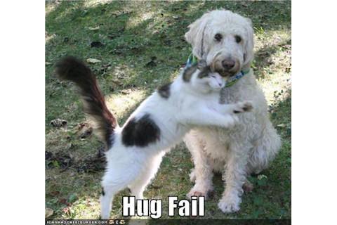HugFail.jpg