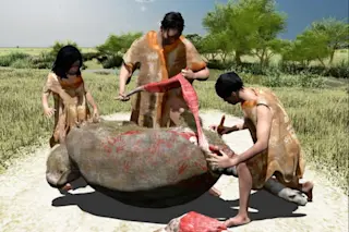 3D rendering of a prehistoric butchery event featuring three early humans processing a large animal carcass in a grassy landscape