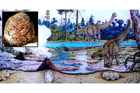 Sauropod_eggs.jpg