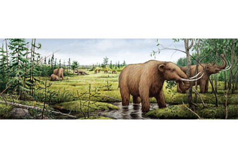 Pleistocene.jpg