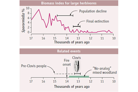 Pleistocene-timeline.jpg