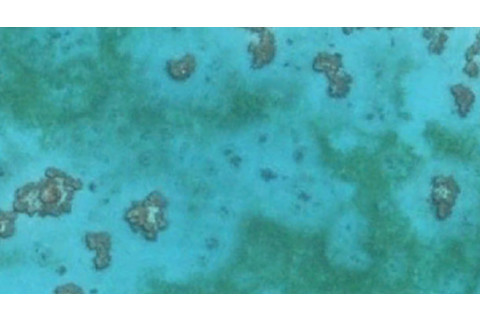 Reef_halos.jpg
