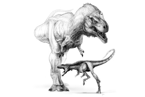 Raptorex_Trex.jpg