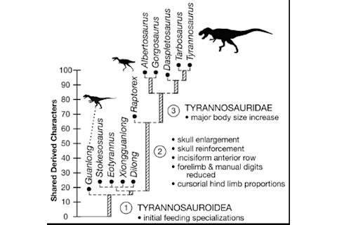 Raptorex_family_tree.jpg