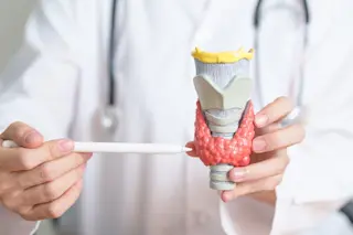 Doctor displaying a thyroid anatomy model showing hyperthyroidism