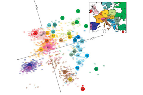 Europegenetics.jpg