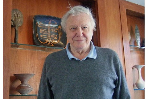 Attenborough.jpg