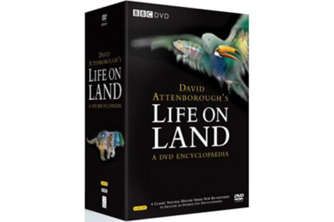 Life-on-Land.jpg