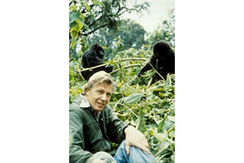 Attenborough-gorillas.jpg