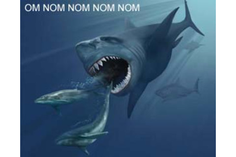 Megalodon.jpg