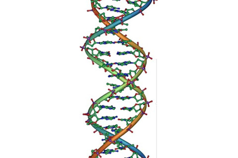 DNA.jpg