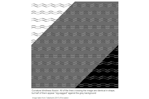 curvature-blindness-Takahashi-1.png