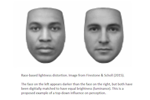 firestone_scholl.png