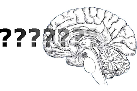 unsolved_brain.png