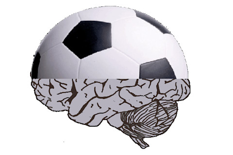 soccer_brain.png