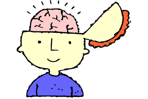 brain1.jpg