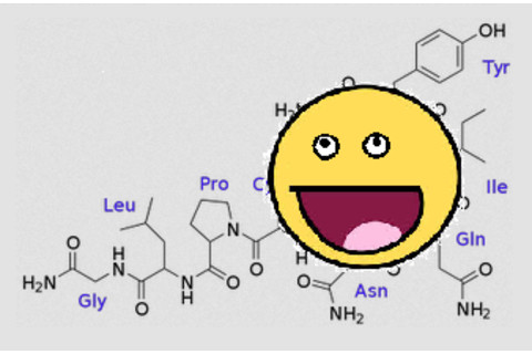 oxytocin2.png