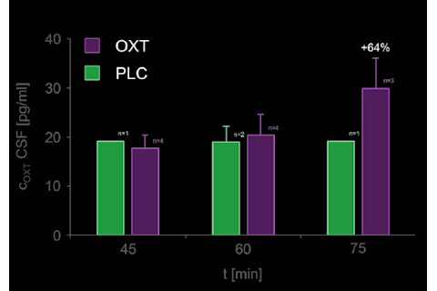 oxytocin.png