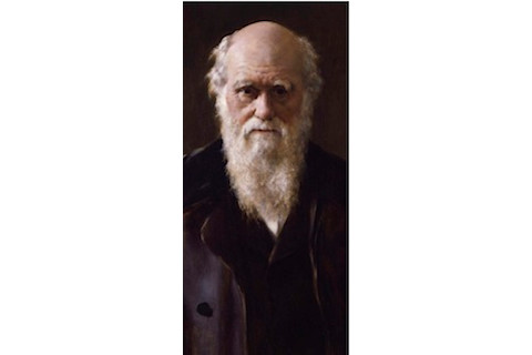 Older Darwin