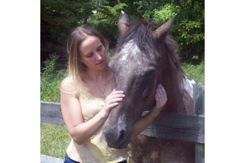 Niki-Horse-from-the-mountians-300x298.jpg