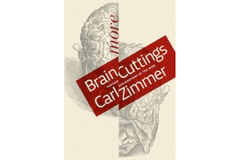 more_brain_cuttings_150.jpg