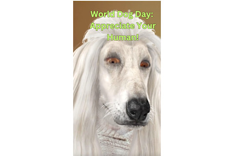 World Dog Day: Appreciate Your Human!