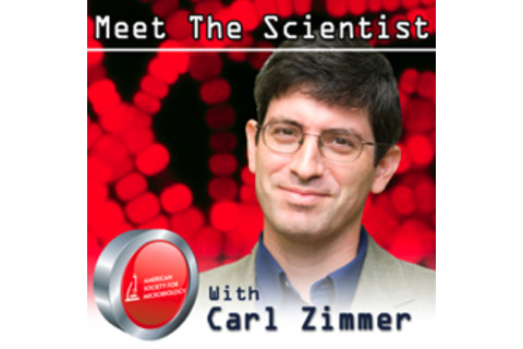 mtsitunes220.jpg