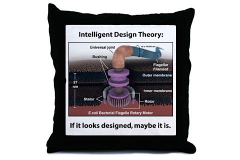 throw%20pillow.jpg