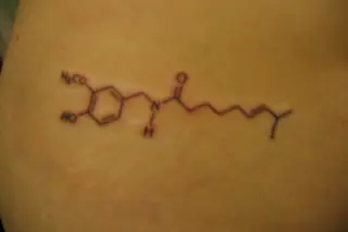 capsaicin.jpg