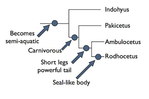 whale%20tree%20500.jpg