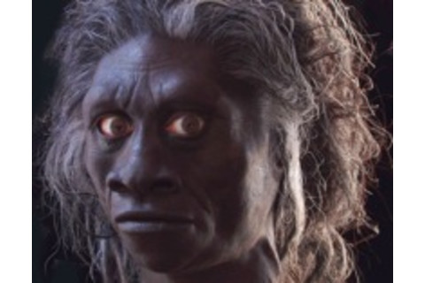 new%20hobbit.jpg